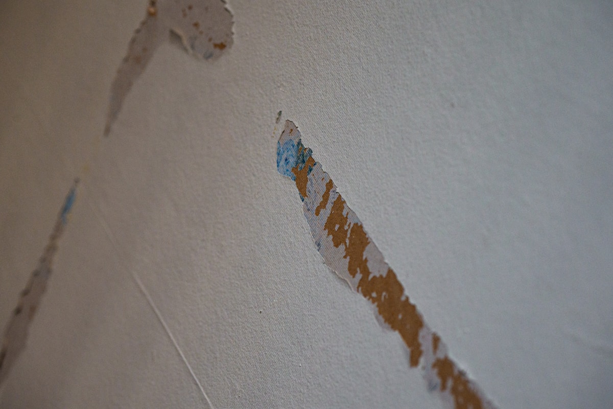 Water Extraction service in Santa Clarita, CA